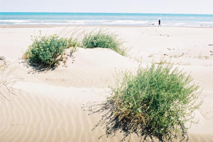 Holiday Home Paquita Sb Ріумар Екстер'єр фото